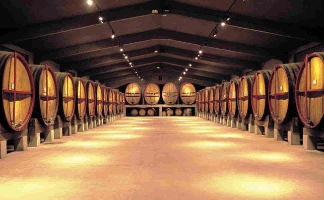 Dentro de la bodega Abadal MatiÌs. Dentro de la bodega Abadal MatiÌs.