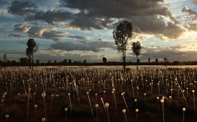 Bruce Munro20