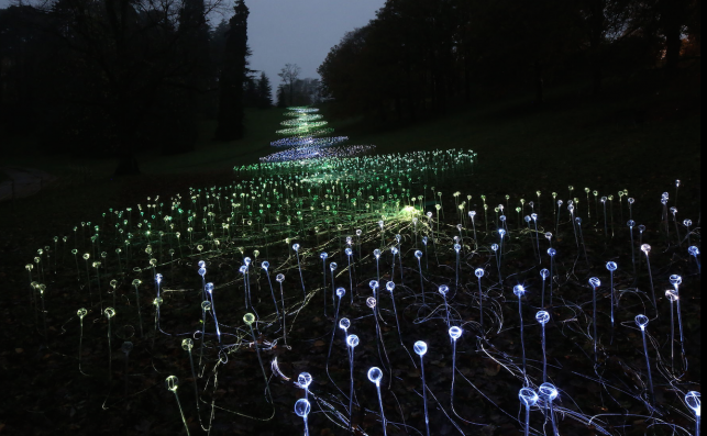 Bruce Munro21