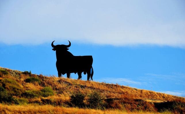 En las carreteras de España llegó a haber 500 toros de Osborne. En las carreteras de España llegó a haber 500 toros de Osborne.